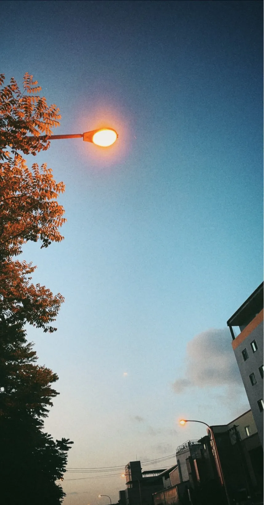 《在明天來臨之前》詩集連載|燦熙