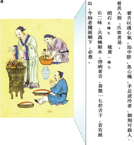《輔行訣髒腑用藥法要》