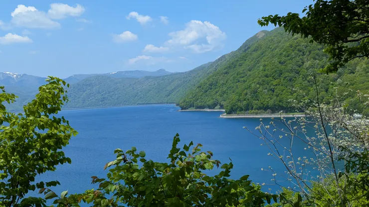 野鳥之森展望台