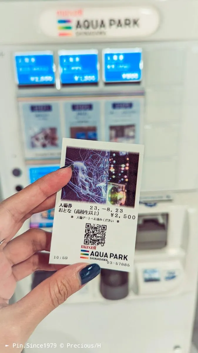 高中以上成人票2500日元