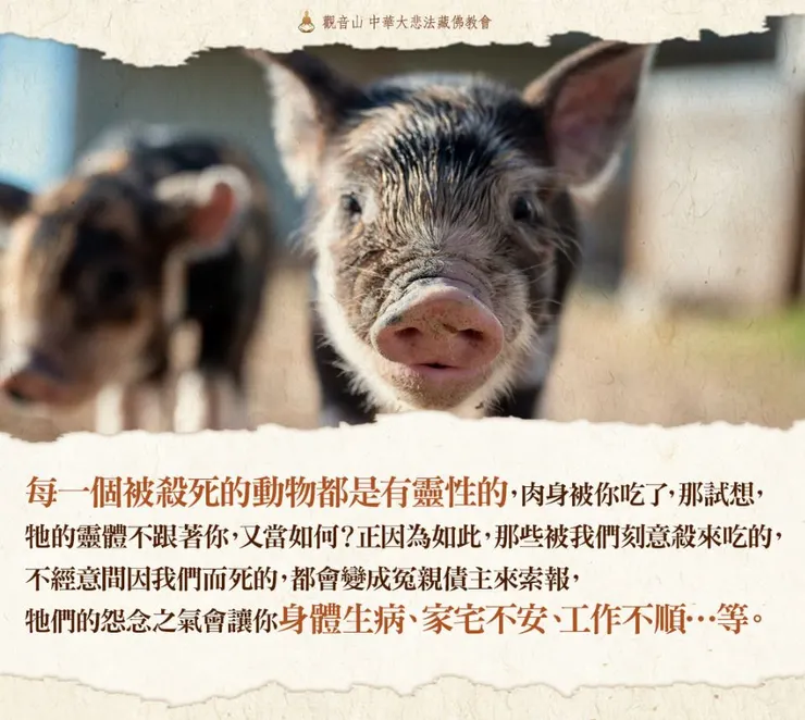 冤親債主需要解冤釋結