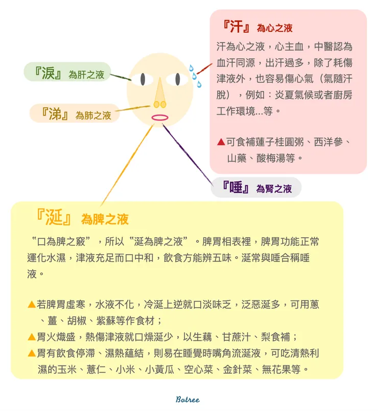 中醫怎麼說:"心汗" 與 "脾涎"