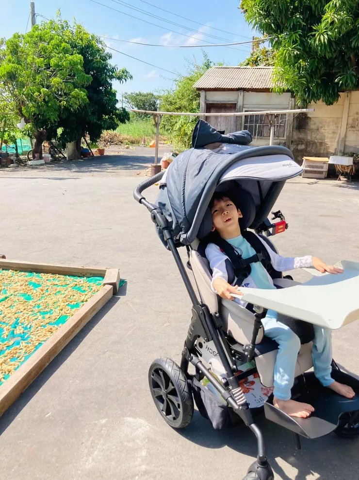 特製推車比嬰兒車貴上好幾倍。