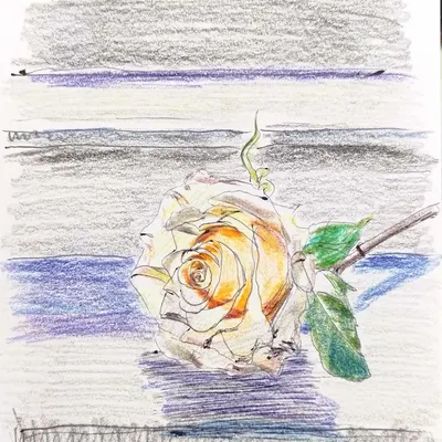 樹中瑾玉 隨筆集