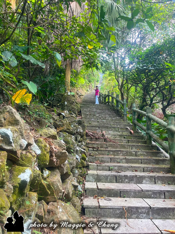 陽光透過樹葉縫隙灑落，斑駁光影伴著腳步。 一個人慢慢往上走，像是在和大自然對話。 有時候旅行，不只是到達目的地，而是享受這段靜靜前行的時光。✨