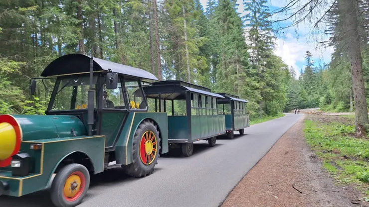 Dolina Chochołowska 前半段路的小火車