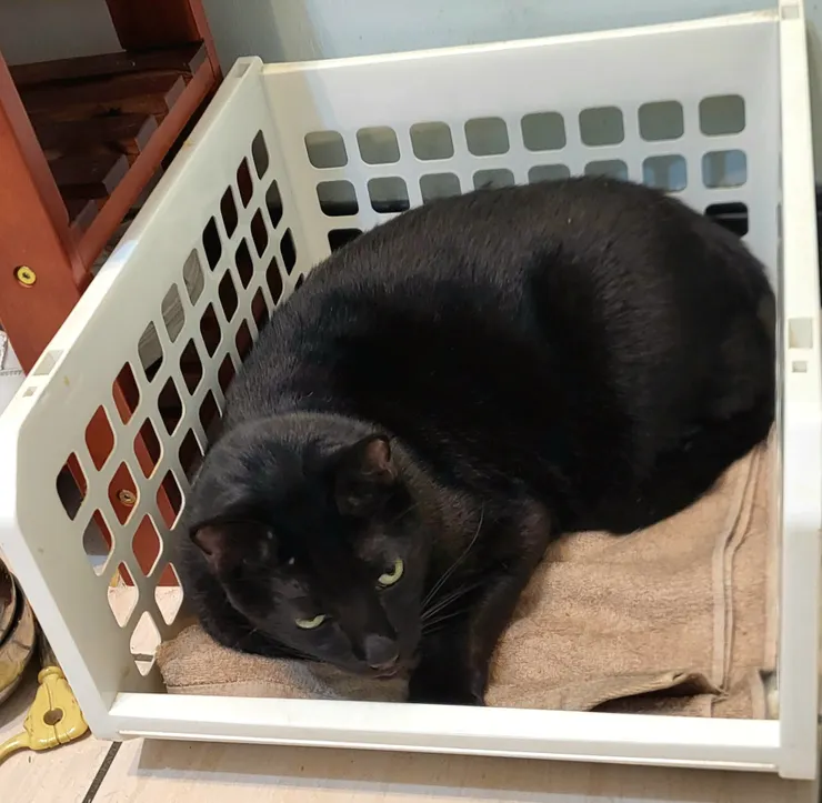 小黑.李建崑攝影