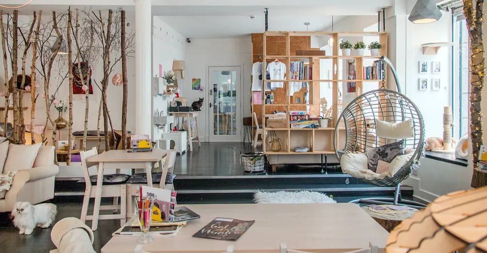 凱薩琳的貓與咖啡