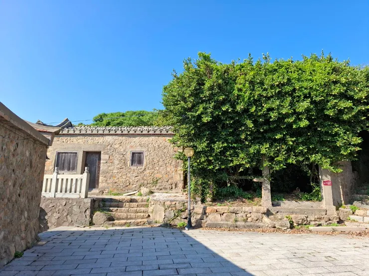 左棟是雜貨店、理髮廳，右棟樹屋是照相館