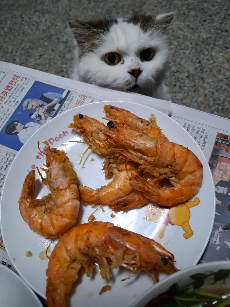 人家要吃蝦蝦。