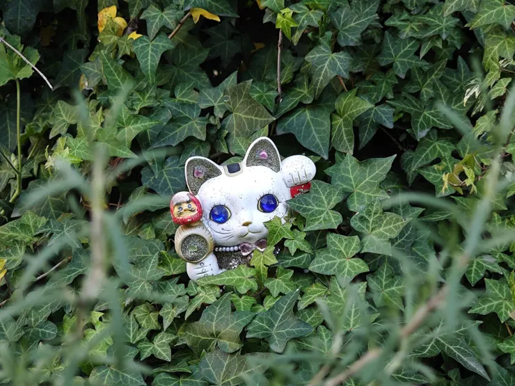 看更多照片請追縱我的IG @richangphoto1109