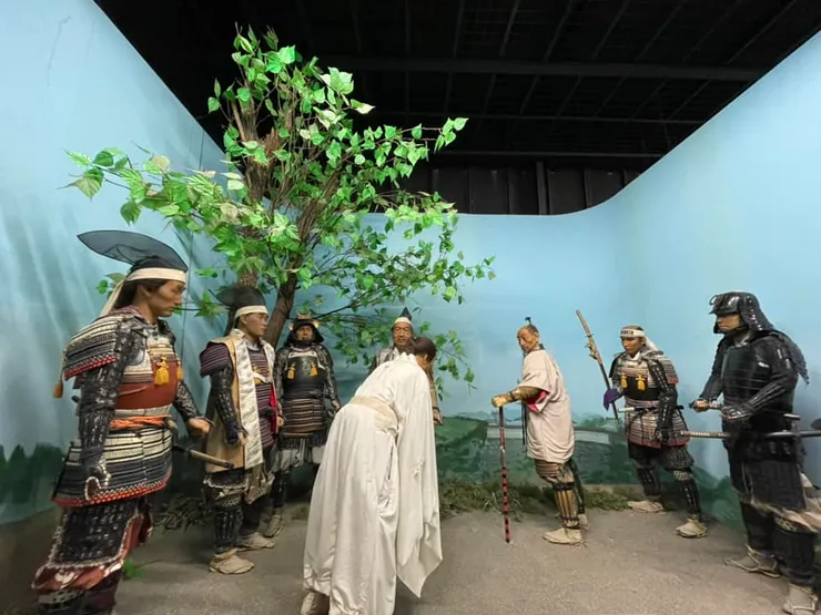 在小田原之戰遲到後，伊達政宗穿著象徵壽衣的白色裝束向豐臣秀吉謝罪。圖為日本宮城縣松島的伊達政宗歷史館中對於此事件的模擬蠟像展示。圖片來源:筆者提供