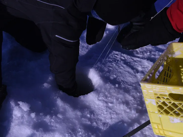 冰層很厚，要伸手進去把魚抓住