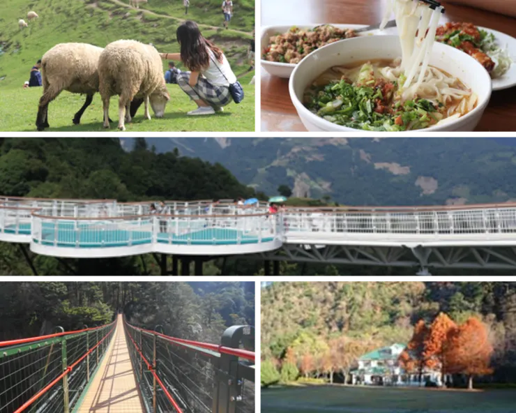 南投螢火蟲景點 2024南投螢火蟲景點|超夢幻南投4大賞螢秘境全攻略 7 2024