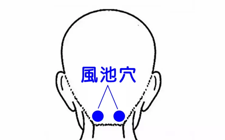 風池穴