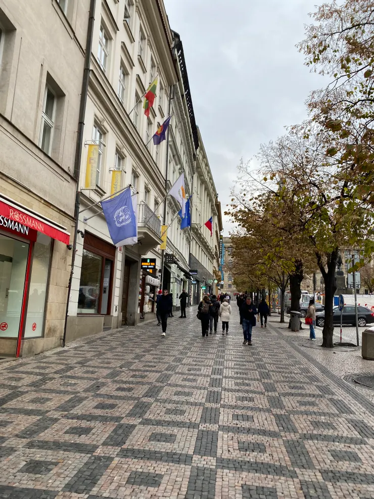 ▲瓦茨拉夫廣場旁的石板路一景。