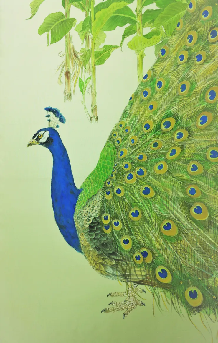 〈熱帶妍彩〉局部－孔雀
