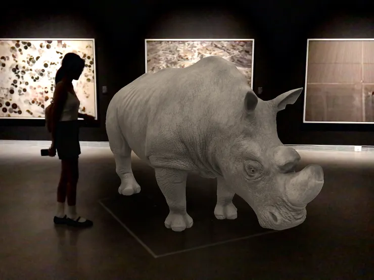 展覽AR實景互動的蘇丹