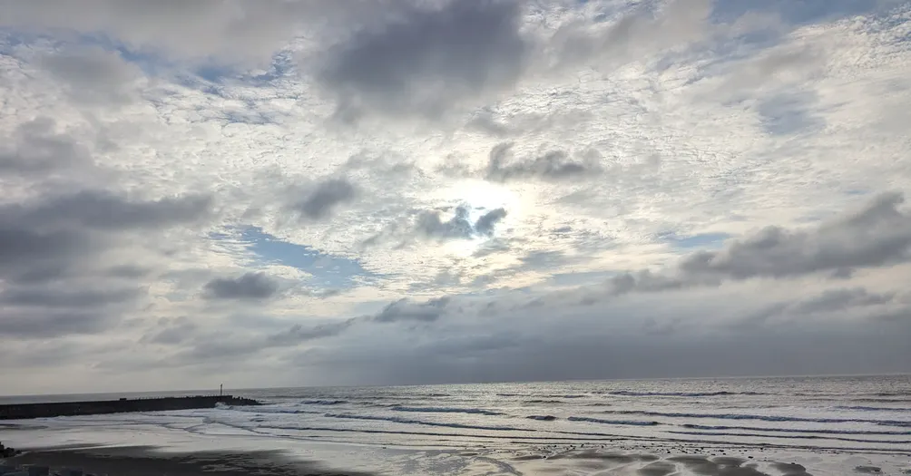 黎紹寗律師的沙龍