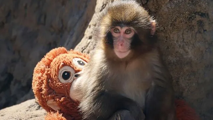 圖片來源：轉載自網路新聞