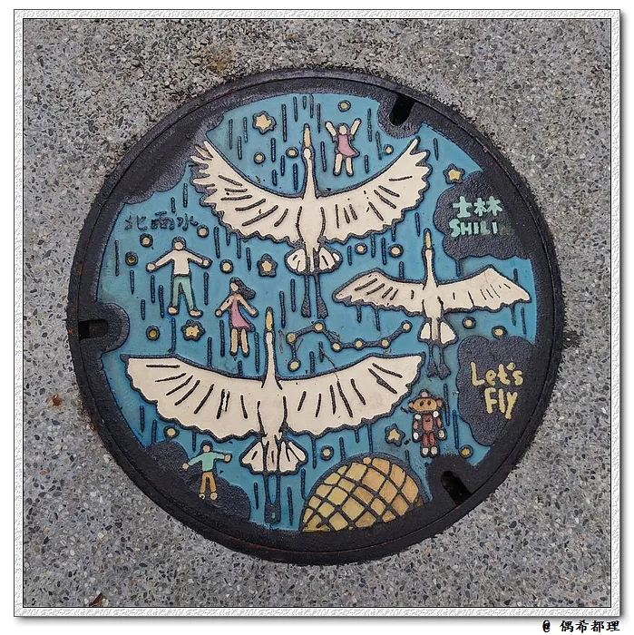 士林區「Let's Fly外雙溪的大白鷺」