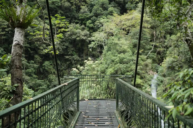 富源的森林伸展台