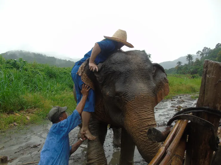 原來要踏著象腳往上爬呀！😬