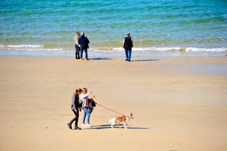 【沿沙灘遊人戲水遛狗散步閒坐】