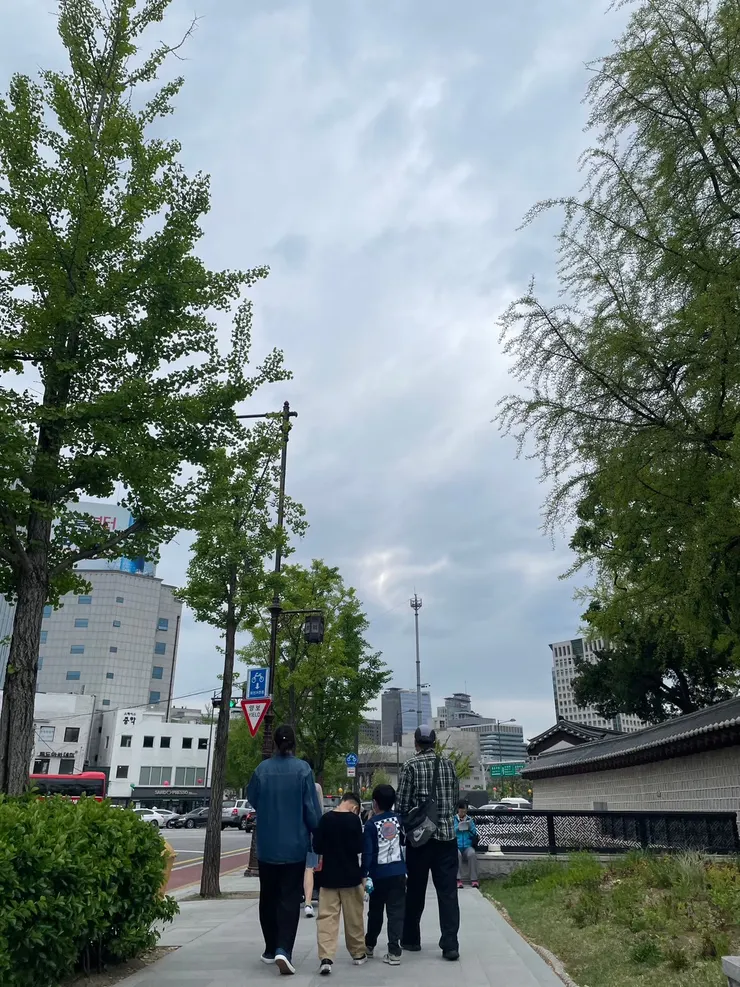 從云蜆宮出發安國的路上，兩邊的溫帶樹木看起來跟台灣的街景差很多，所以也就特別有出國的感覺