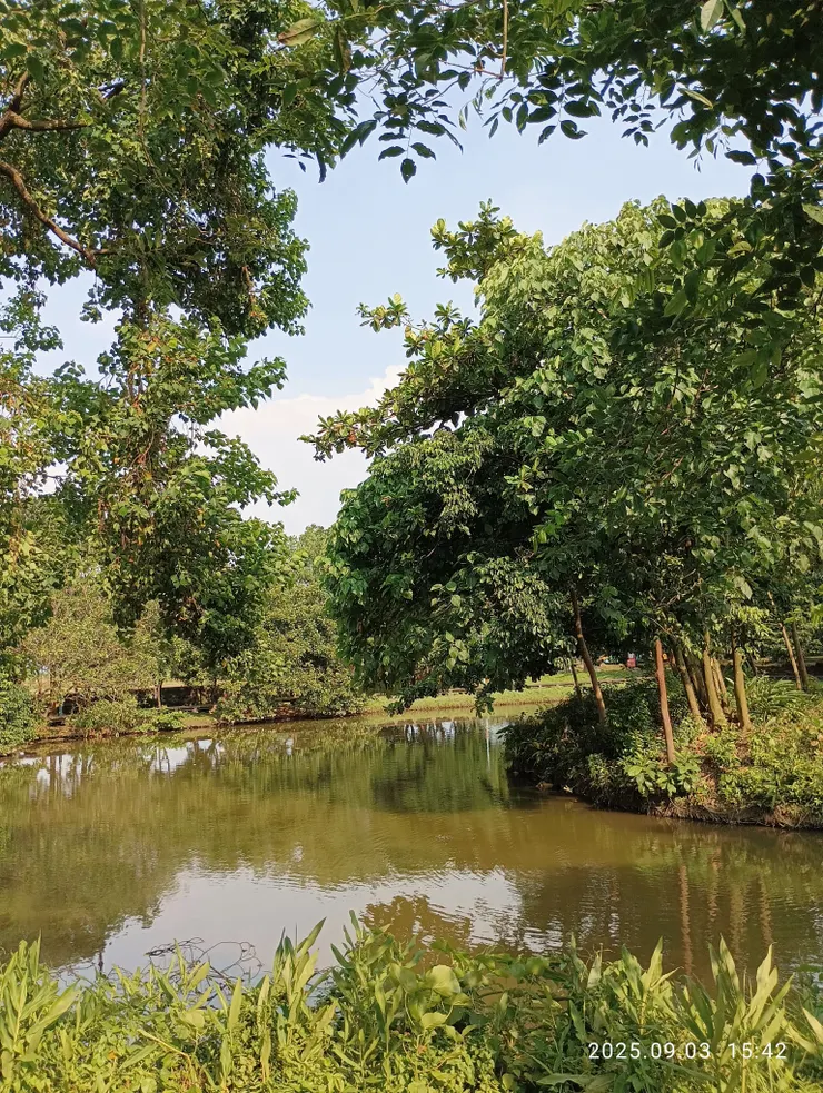 盡道湖綠水清淺，自拍攝