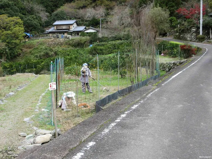 非遍路假人，是很辛勤工作的農民假人
