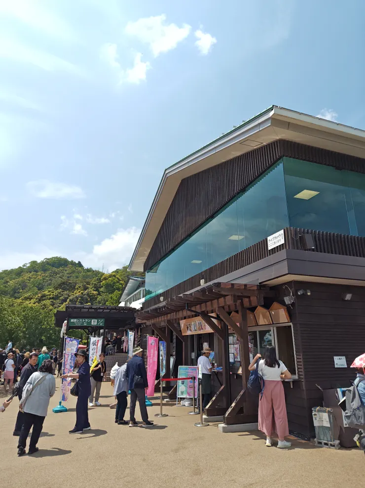 天橋立傘松公園