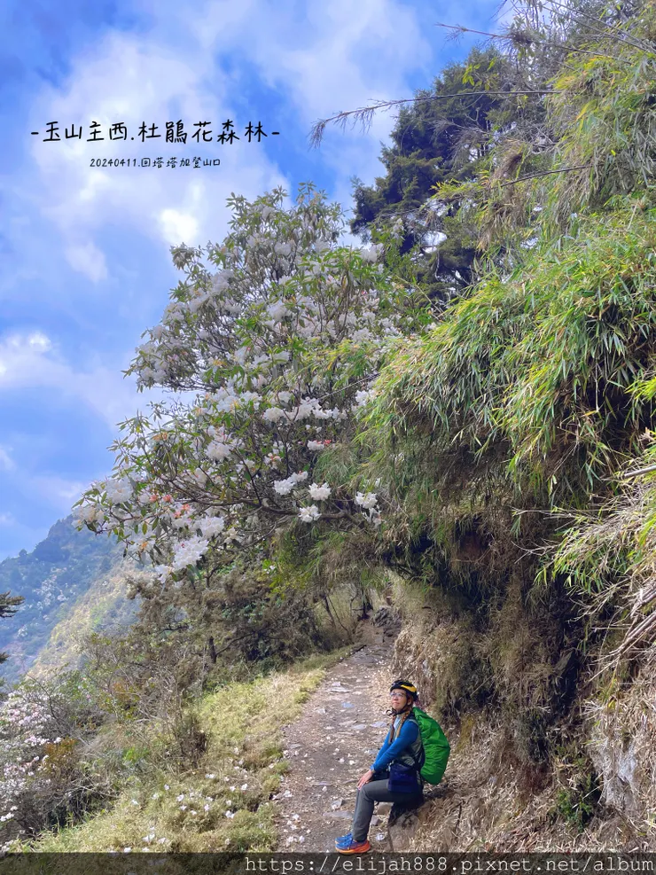 【玉山主峰西峰.兩天兩夜】冷到爆炸的玉山主峰賞雲海/一直走花