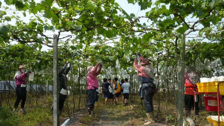 二林國小參與研華文教基金會的ACT夢想家PBL課程,即透過實際走進產業現場,學習第一手的地方知識並從中連結學科知識,使學習回到真實的世界當中。