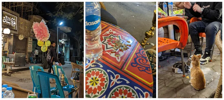 棉花糖小販、見過世面的瓜子們與認真的小貓咪(來源：筆者攝影)