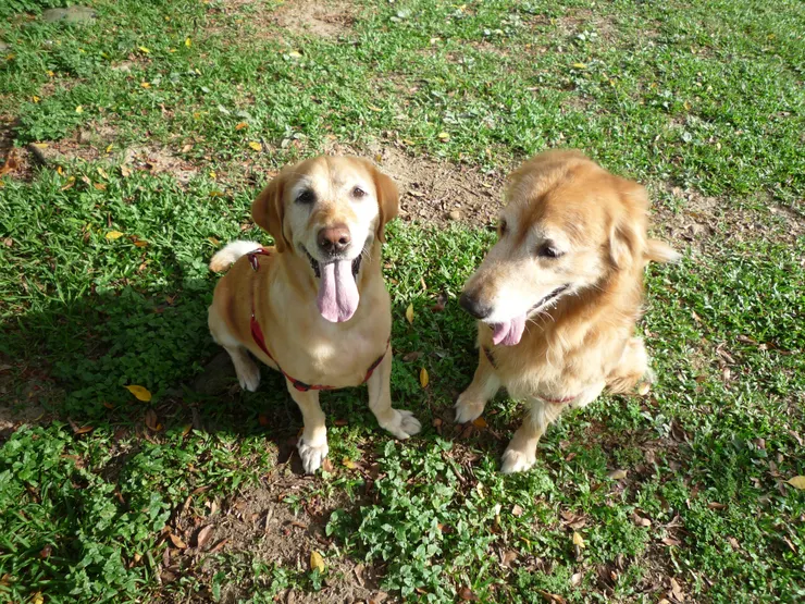 2009年，左邊是妮，右邊是奇。