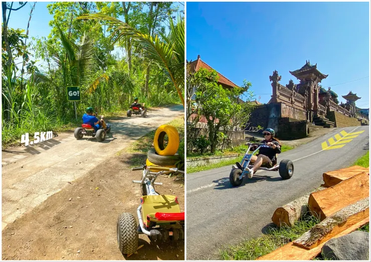 Jungle Cart 請看小傑的介紹