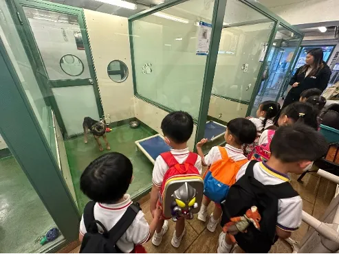 (圖片來源：中華基督教會長洲堂錦江幼稚園/幼兒園官網)