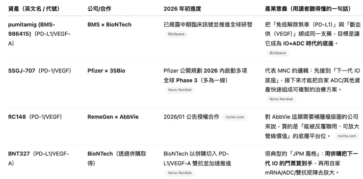 IO 2.0「基石藥」候選:PD-(L)1 × VEGF 雙抗