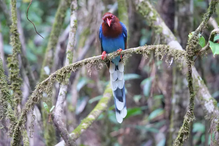 停在一處讓你拍過夠
