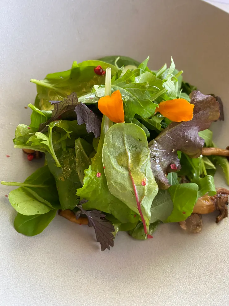 真正的前菜：葉子剛好是愛心🧡好可愛☺️