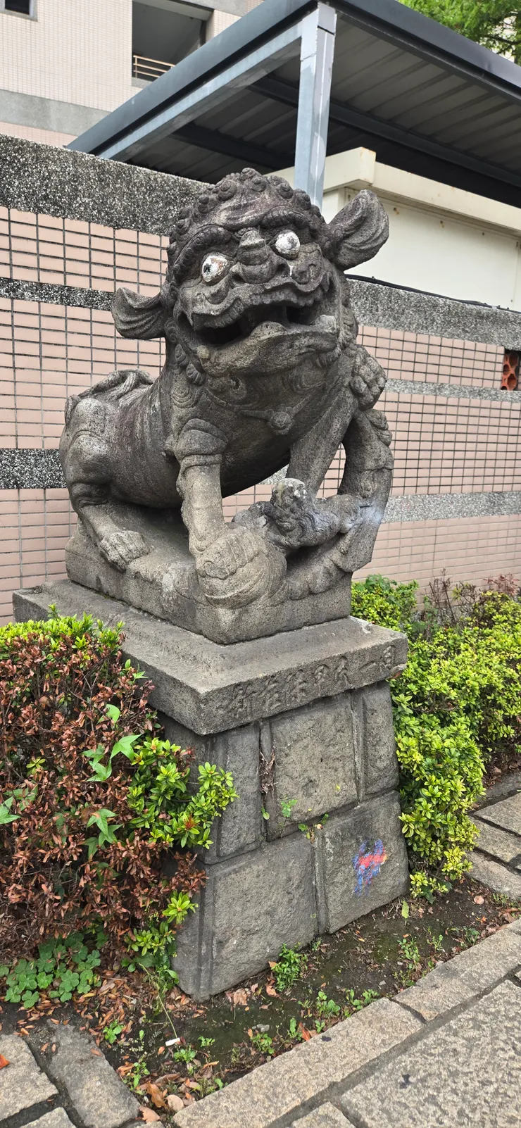 日式石獅，鼻樑高突、雙眼圓瞪外凸，且有一對前傾的「招風耳」，四肢較為筆直挺立，帶有濃厚的日本神社狛犬風格