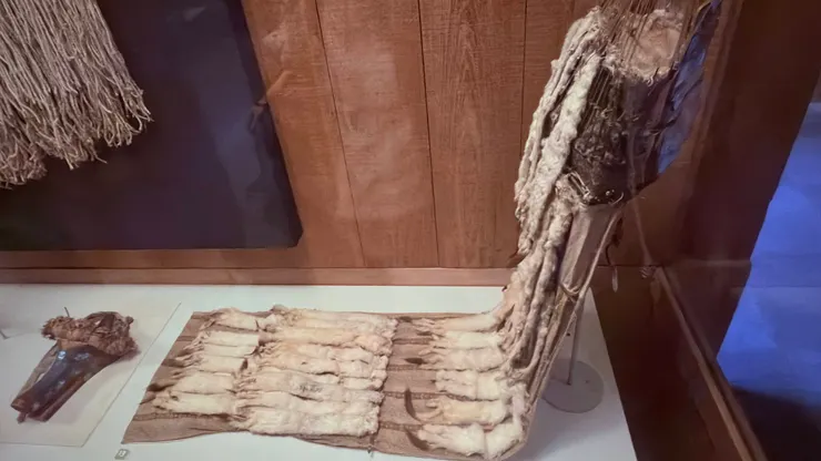 海貍的皮草很有經濟價值，引來英法覬覦產生爭端。