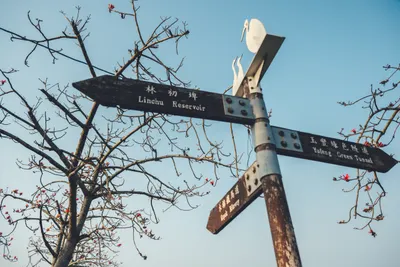 關於勞工權益的二三事（圖文不符）