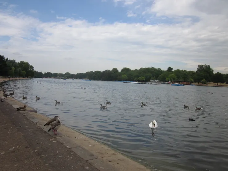 海德公園是倫敦最大的皇家庭園