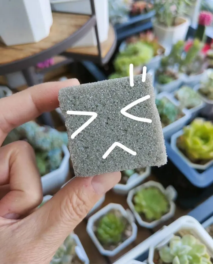 我的小秘密 : 永生花藝最常使用的乾海綿 (我討厭這種摸起來手上沾滿沙沙的感覺，但沒辦法...)