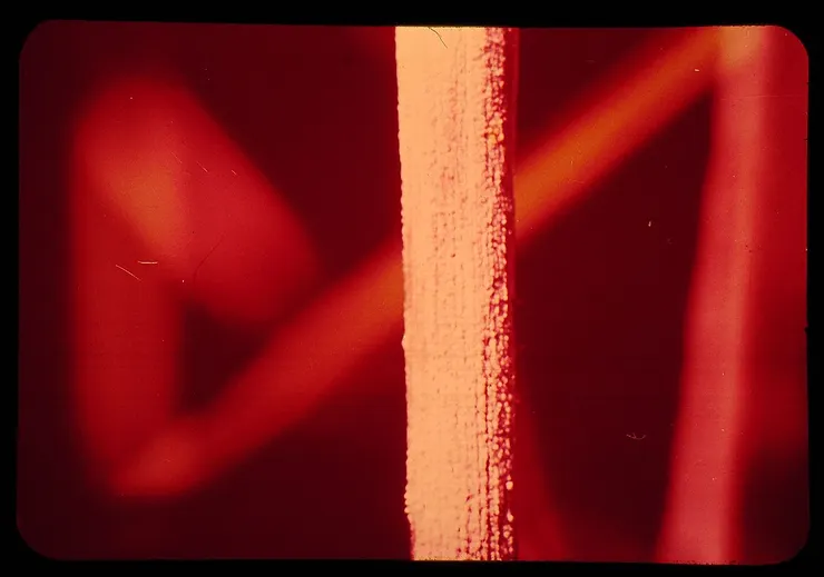 得了Bakanae的水稻。圖片取自維基百科