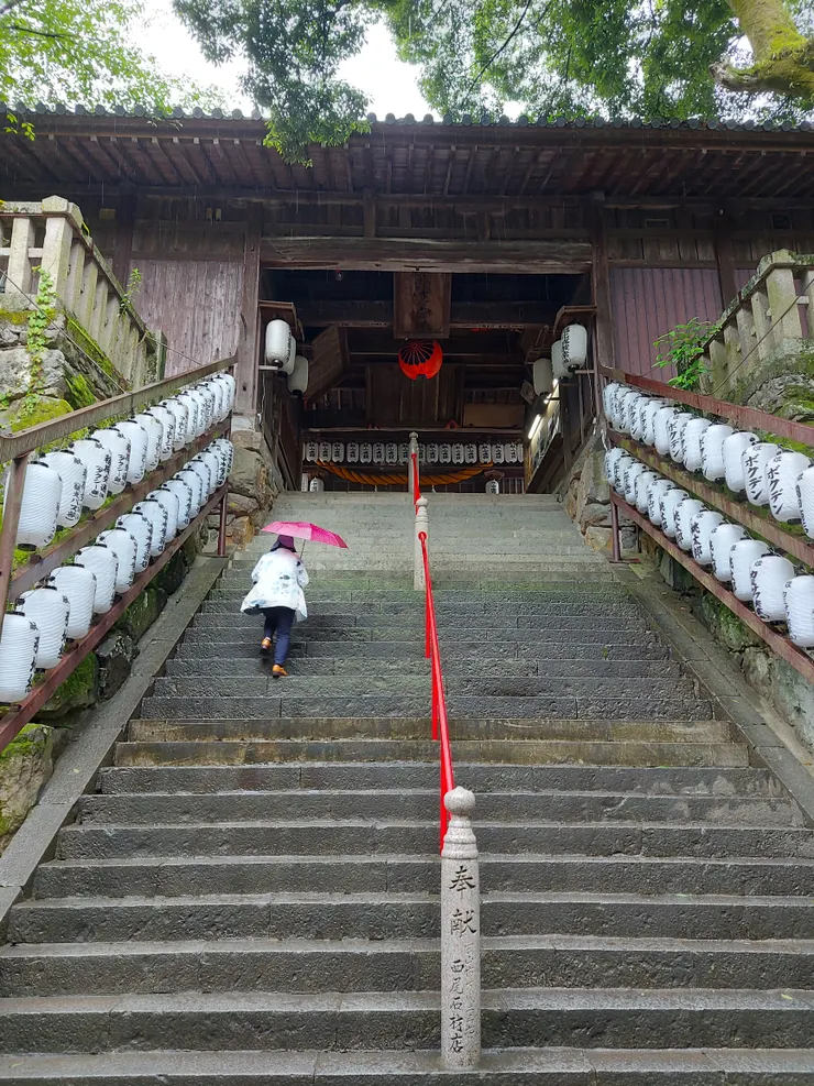 繼續爬長長的階梯