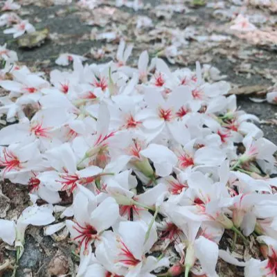 縷縷 ( Y_pei )的沙龍