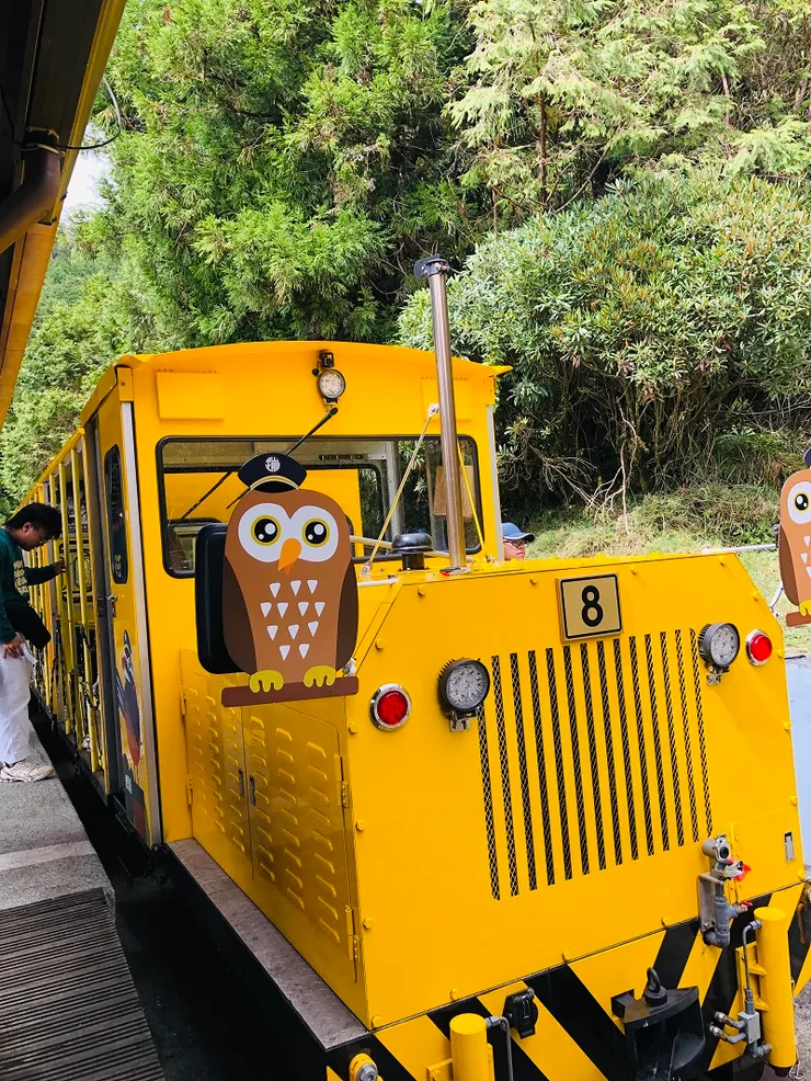 蹦蹦車~灰林鴞號